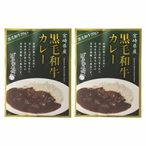 [ばあちゃん本舗] 宮崎県産 黒毛和牛カレー 160g×2袋