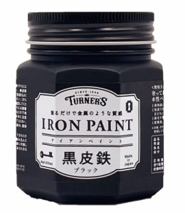 ターナー色彩 水性ペイント アイアンペイント 黒皮鉄ブラック IRK20020 200ml