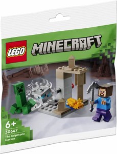 レゴ（LEGO) マインクラフト 鍾乳洞 ミニセット 30647