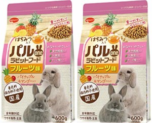 パルワン 日本ペットフード パルoneラビットフードフルーツ味600g×2袋セット