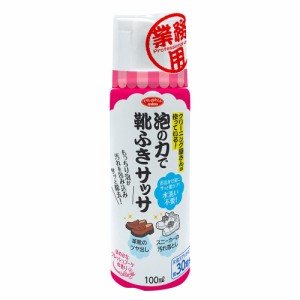 アイメディア(Aimedia) アイメディア 靴用洗剤 泡洗浄 靴クリーナー 100ml 30足分 日本製 シューケア 泡フォーム 水洗い不要 靴磨き 洗浄