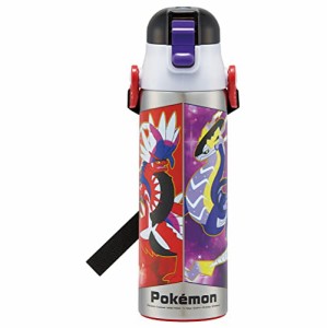 スケーター(Skater) 水筒 ポケットモンスター 23N 580ml 直飲み ステンレス スポー