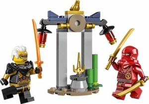 レゴ(LEGO) ニンジャゴー カイとラプトンのバトル 30650 Ninjago Kai and Rapton’s Temple Battle