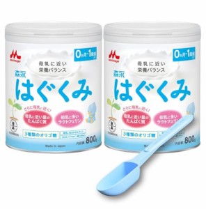 【ネット限定】 森永 はぐくみ 大缶 800g×2缶パック 大容量50mlスプーン付 0ヶ月~1歳 新生児 赤ちゃん 粉ミルク ラクトフェリン