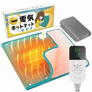 電気 座布団 暖かいの通販｜au PAY マーケット