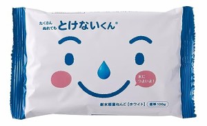 パジコ 耐水軽量粘土 とけないくん 100g 101192 日本製