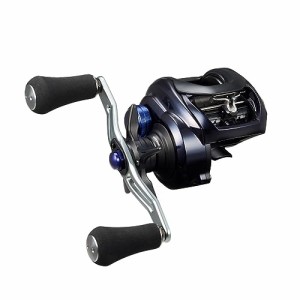 ダイワ(DAIWA) ベイトリール 23SALTIST TW 300XH PE SPECIAL