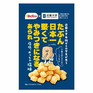 栗山米菓 たぶん堅いあられ(しお味) 40g×10袋