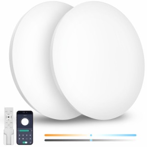 Coizabera LED シーリングライト 6畳 28W 3600lm 2個セット 調光調色 リモコン操作 スマホAPP操作 天井照明器具 電気 蛍光灯 洋室 和室 