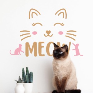 SUPERDANT 猫MEOWウォールステッカー 壁シール 壁紙 現代風ウォールアート PVC素材 カラフルウォールステッカー ウォールデコレーション 