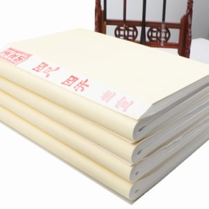 100枚の空白の中国の書道のライスペーパーの生宣紙 (書道紙, 34x69cm)