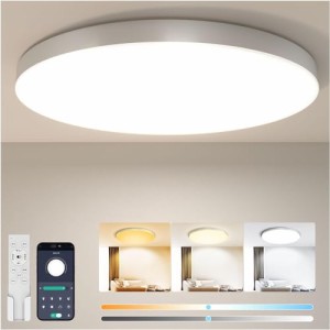 Coizabera LED シーリングライト 6畳 28W 3600lm 調光調色 豆電球常夜灯 天井照明器具 おしゃれ 蛍光灯 リモコン付き スマホAPP操作 6〜8