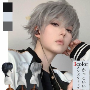 ウィッグ 男装の通販｜au PAY マーケット