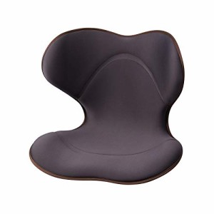 スタイル スマート(Style SMART) MTG(エムティージー) [メーカー純正品] 姿勢矯正 腰痛 骨盤サポートチェア 座椅子