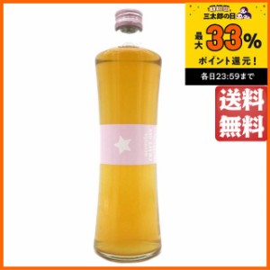 石川酒造場 アセロラ ジャパニーズ クラフト ジン 45度 500ml【スピリッツ】【ジン】