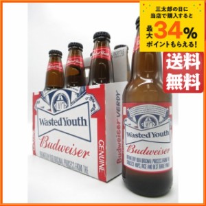 バドワイザー Budweiser  瓶 330ml×6本セット (原産国 韓国) 