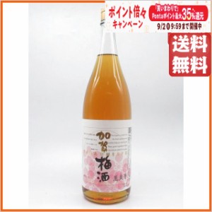 萬歳楽 加賀梅酒 14度 1800ml 送料無料 【梅酒】【梅酒一升瓶】