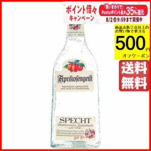 シュペヒト アプリコーゼンガイスト アプリコット オードヴィー 正規品 40度 700ml【フルーツブランデー】 送料無料 ちゃがたパーク