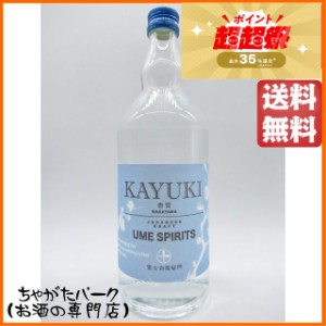 中野ＢＣ 香雪 ＫＡＹＵＫＩ 45度 700ml ■梅酒を蒸留した梅スピリッツ【スピリッツ】 送料無料 ちゃがたパーク