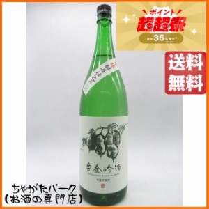 白金酒造 白金吟酒 吟醸酵母 芋焼酎 25度 1800ml 