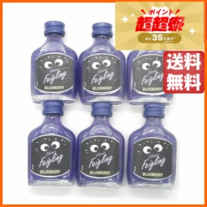 クライナーファイグリング ブルーベリー ミニチュア 15度 20ml×6本セット