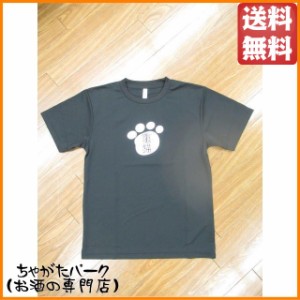 落合酒造場 Ｔシャツ 竃猫 へっついねこ Ｍサイズ 