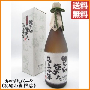 大石酒造 眠りから覚めた 極上十年 十年貯蔵 米焼酎 25度 720ml 