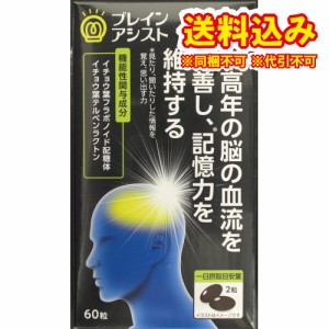 定形外）大木製薬　ブレインアシスト　イチョウ葉エキスα　60粒