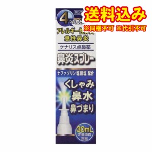 定形外）【第2類医薬品】ケナリス点鼻薬　30ml【セルフメディケーション税制対象】