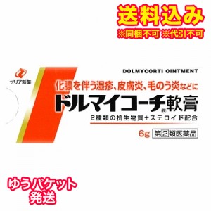 ゆうパケット）【第(2)類医薬品】ドルマイコーチ軟膏　6g