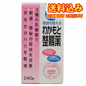 定形外）【指定医薬部外品】わかもと整腸薬　240錠