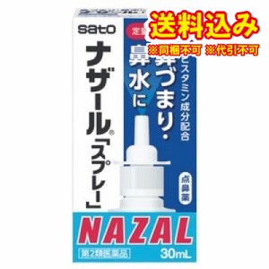 定形外）【第2類医薬品】ナザールスプレー　ポンプ　30ml【セルフメディケーション税制対象】