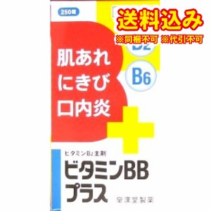 定形外）【第3類医薬品】ビタミンＢＢプラス「クニヒロ」　250錠