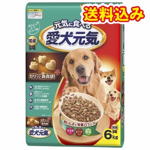 愛犬元気　ささみ・ビーフ・緑黄色野菜入り　6kg