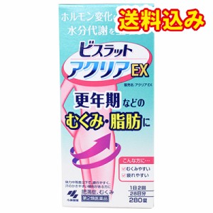 【第2類医薬品】ビスラット アクリアEX　280錠