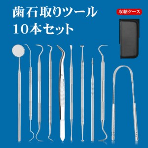 歯石取り 歯石とり プロ用 歯石除去 歯石を自分で取る 器具 スケーラー 歯石 ヤニ取り 歯垢クリーナー 歯用ツール 歯石除去 口腔ケア 口