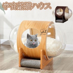 ペットベッド 脚付き 宇宙船 猫用ベッド 透明宇宙船 お手入れ簡単 冬 透明ペット ペットグッズ 猫用品 ベッド マット 寝具 ベッド