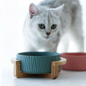 ペット食器 フードボウル 小型 犬 猫 陶器製 食べやすい フード 犬用 猫用 ご飯 水 お餌 入れ かわいい 可愛い ペットボウル 取り外し可