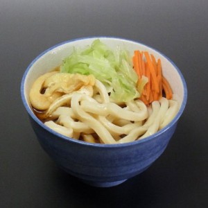 うどん 鍋 饂飩 あたたかい 山梨 創業明治35年「平井屋」 吉田のうどん  (2人前)×5 富士吉田