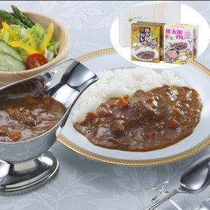 カレー かれー 岡山 桃太郎カレー 甘口&中辛セット (甘口180ｇ×2、中辛200ｇ×2) 白桃カレー レトルトカレー