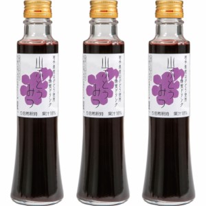 はちみつ ぶどうみつ 200ml ×3本 送料無料 蜂蜜 山ぶどう 山葡萄 お取り寄せ お取り寄せグルメ おみやげ お土産 ヘルシー 