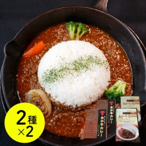 カレー かれー 熊本和牛 あか牛カレー 詰合せセット（あか牛カレー×2、あか牛100％挽肉カレー×2）