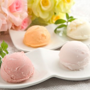 アイスクリーム 果実の便り 国産フルーツアイス物語 6種類×各2（計12個) ソルベ ジェラート フルーツ