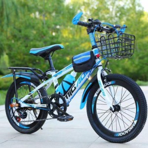 折りたたみ ジュニア 自転車 マイパラス 子供用 マウンテン
