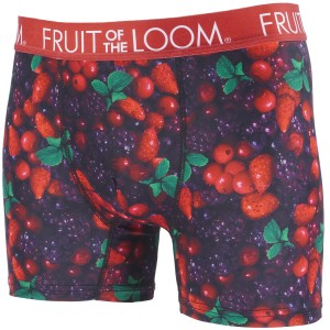 フルーツオブザルーム　FRUIT OF THE LOOM　エステルベア天竺 前閉じボクサーパンツ