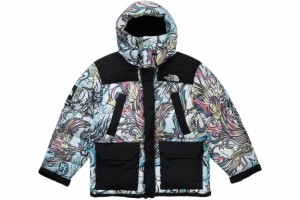 Supreme / The North Face 700-Fill Down Parka  Multicolor Dragon シュプリーム ザ ノース フェイス 700フィル ダウン ジャケット マル