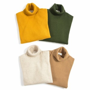 【ポイント10倍】【40％OFF】グランサッソ GRAN SASSO Air Wool ニット セーター タートルネック 長袖 メンズ 秋冬 ヴァージン ウール 10