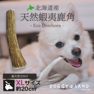 Deerhorn【XLサイズ】 北海道産 鹿角 ペット 犬 おもちゃ 超大型犬 プレゼント いたずら防止 おやつ デンタルケア ガム 犬用 鹿の角 天然