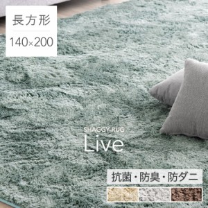 【13日正午〜P5％還元】 ラグ シャギーラグ ラグマット 1.5畳 140×200 洗える 抗菌 防臭 ラグ ラグマット 防ダニ 低ホル防音 滑り止め 