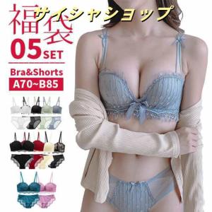 ブラジャー ショーツ セット 福袋 2022 ブラショーツ 5点セット 下着 レディース 女性 ブラ ショーツ 上下セット ランジェリー インナー 